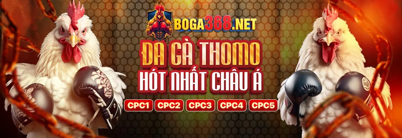 Nền đăng nhập Singbet Chính Thức